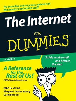cover image of The Internet For Dummies